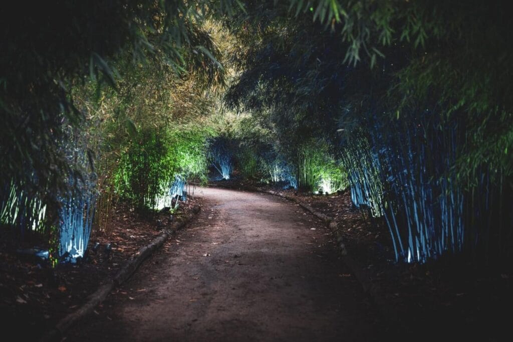 Bible Verses About Walking With God Daily