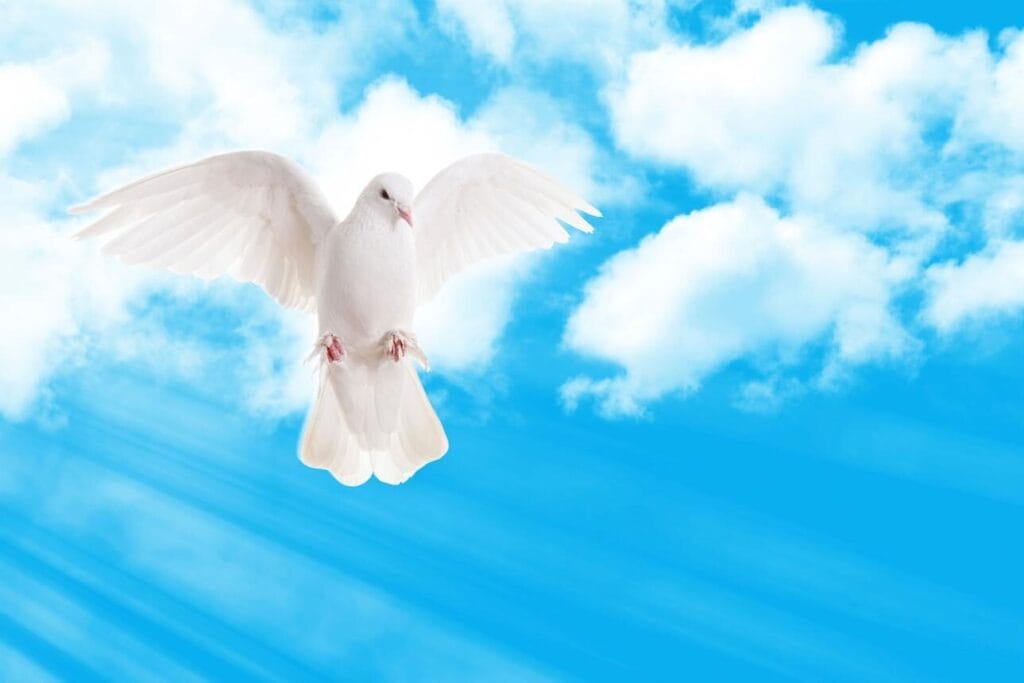 Bible Verses About Walking With God Daily