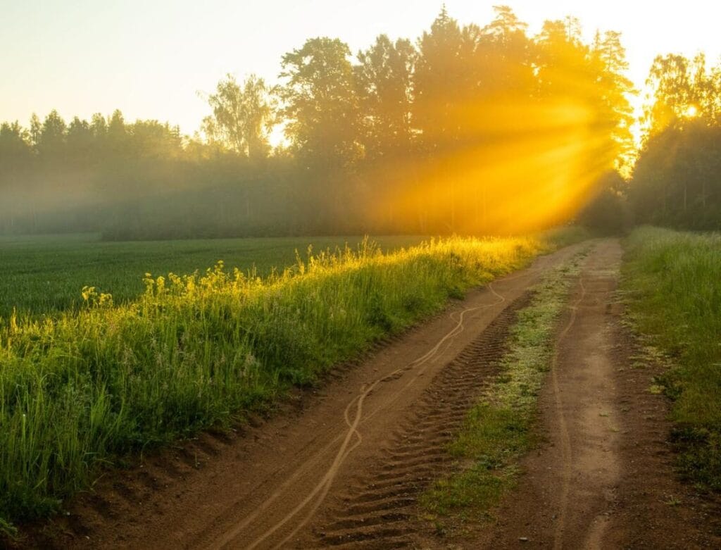 Bible Verses About Walking With God Daily