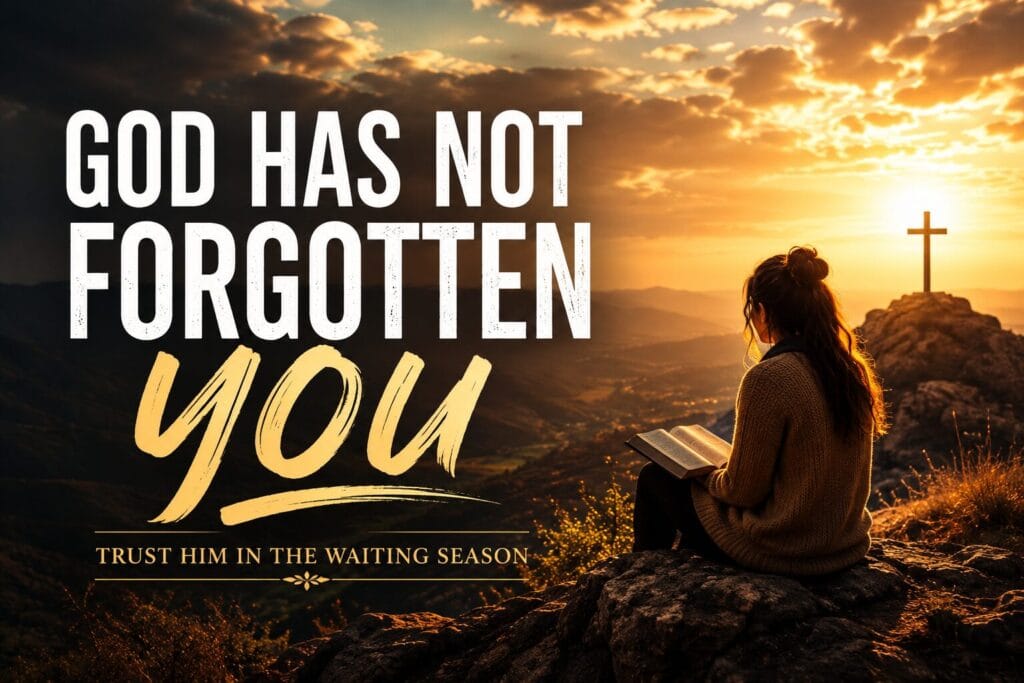 God Has Not Forgotten You Christian Devotional