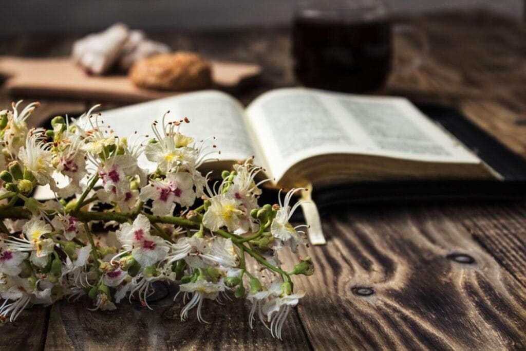 10 Bible verses to start your day with peace and strength Christian encouragement graphic