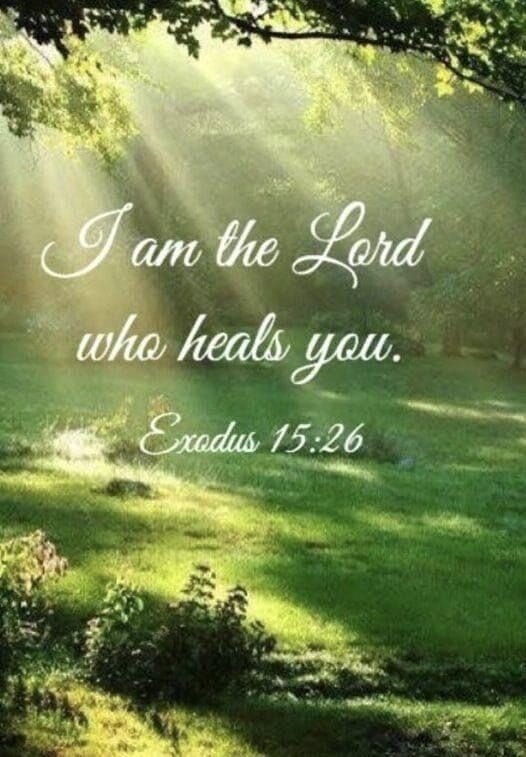 Healing Devotional for Today Christian feature image with open Bible, warm sunrise, flowers, coffee mug, and peaceful healing atmosphere.