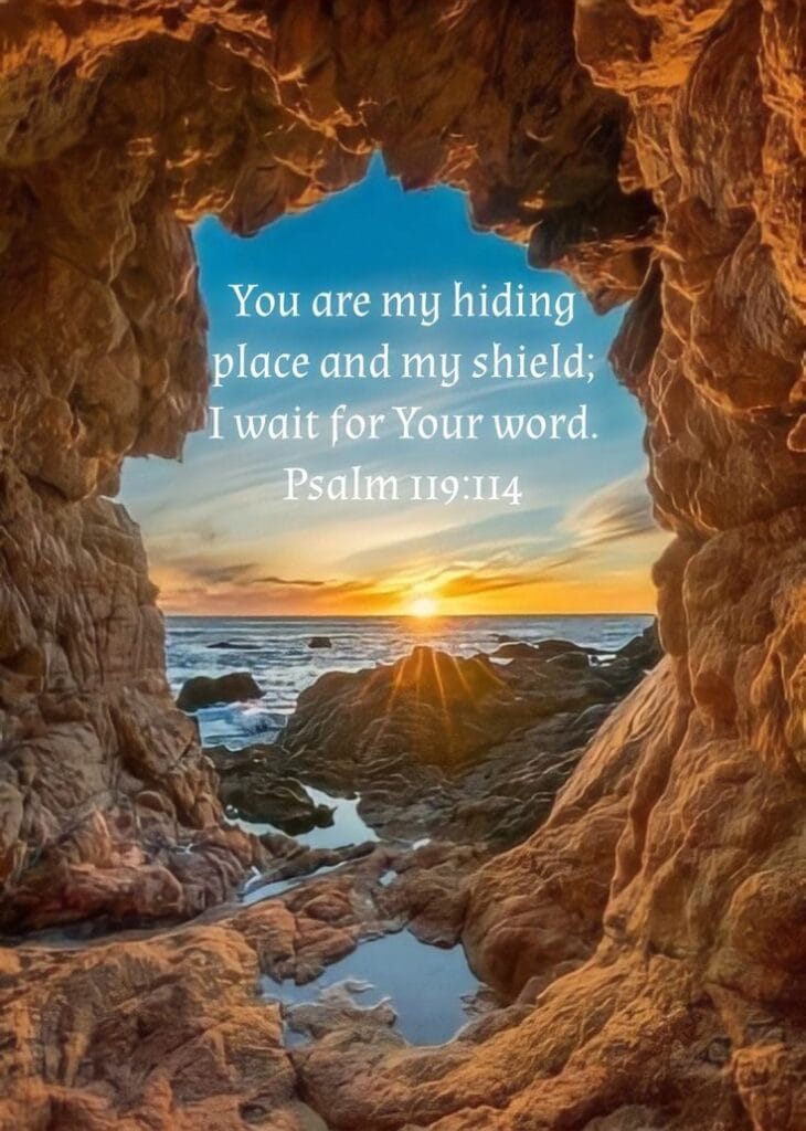 Bible Verse For Today May 23, 2026 