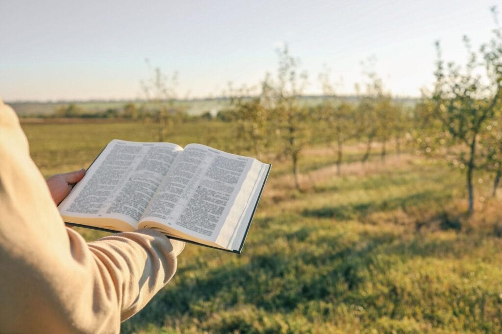 A peaceful Christian banner representing the God will never leave you verse for daily prayer