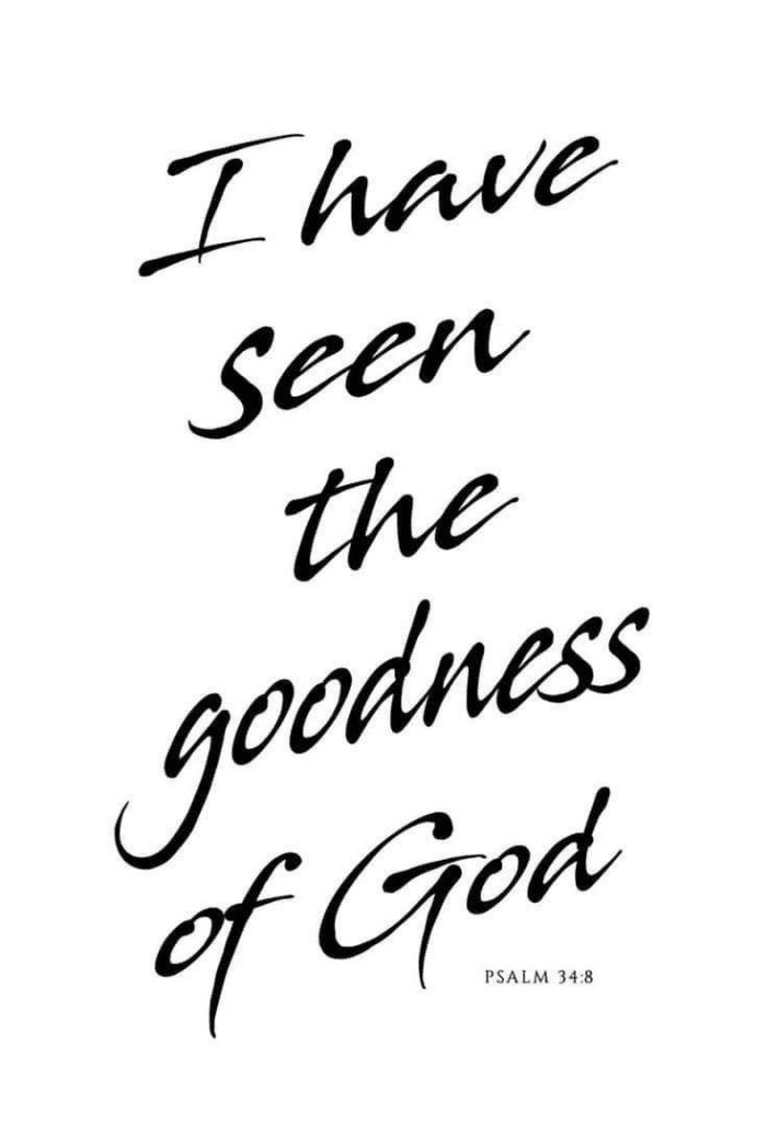 A peaceful Christian banner representing the God will never leave you verse for daily prayer