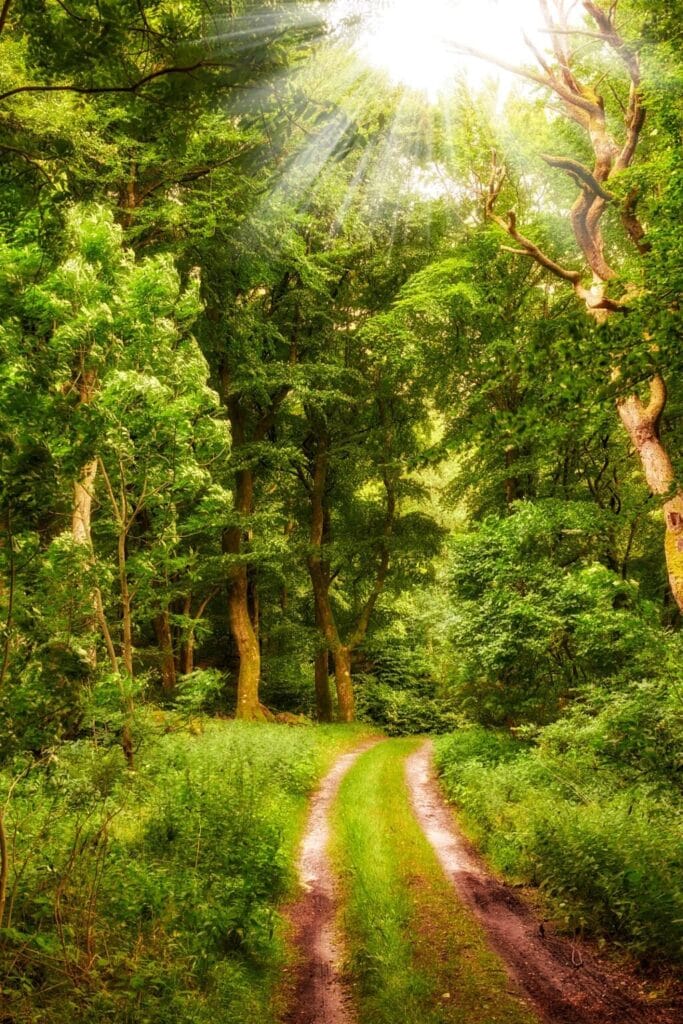 God's Spirit is leading you every step